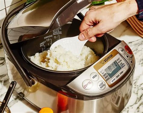 multi cooker vs rice cooker